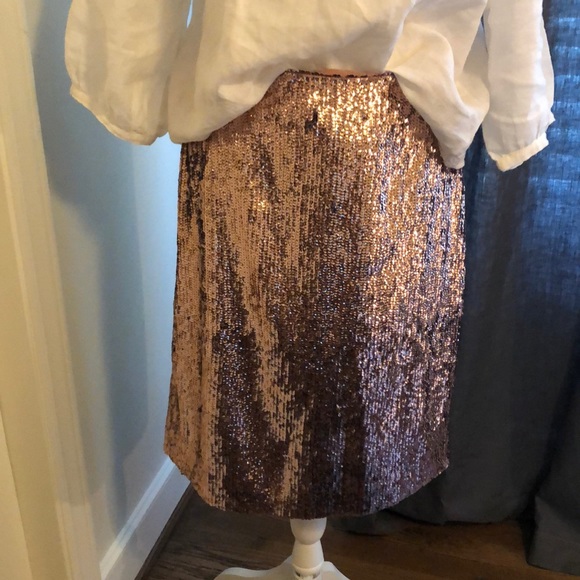 Sequin Skirt - Picture 1 of 2